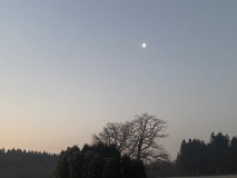 IMG_2621