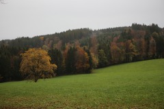 IMG_1263